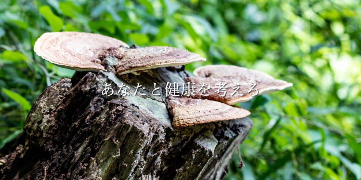 元気の出るくすりや、みぞぐち元気堂では漢方薬やサプリメントのご相談を承ります。