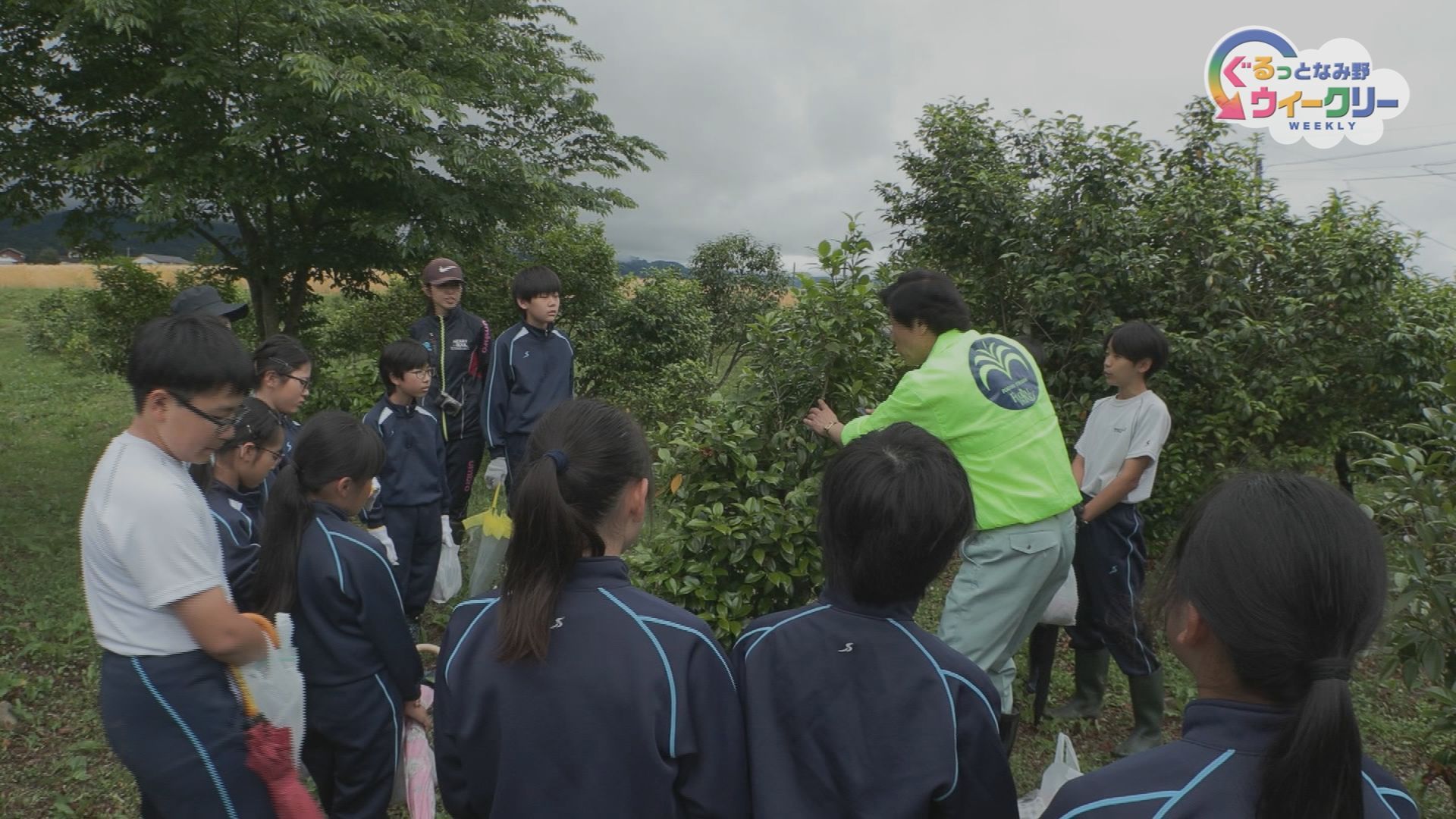 南砺つばき学舎　椿学習　５月２２日