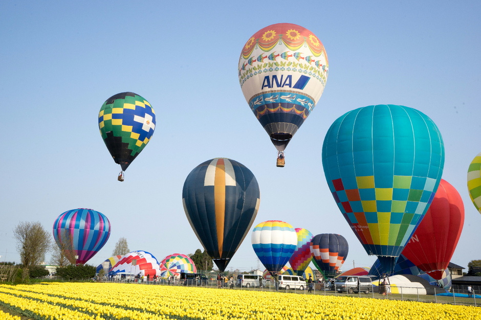 チューリップバルーン2026